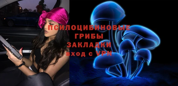 дживик Гусь-Хрустальный