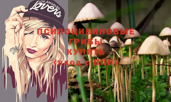ALPHA PVP Гусев