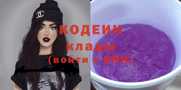 дживик Гусь-Хрустальный