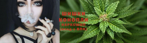 дживик Гусь-Хрустальный