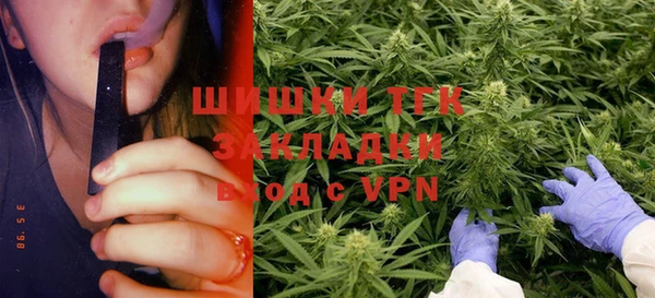 ALPHA PVP Гусев