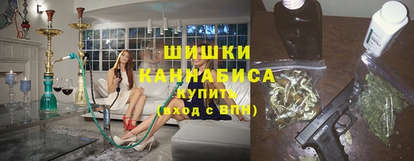дживик Гусь-Хрустальный