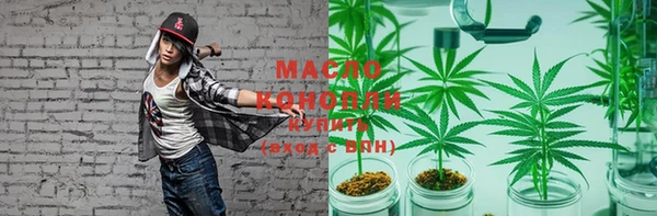 индика Горно-Алтайск