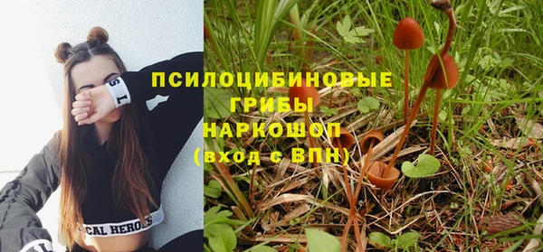 мдма Гусиноозёрск